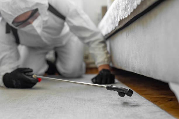 Professional Ant Control technician working in Camanche North Shore, CA